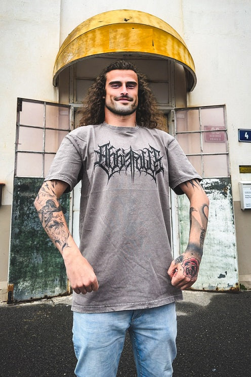 Oversize Acid Wash Logo T-shirt – Abbie Falls band